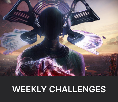 Episode Echoes Weekly Challenges